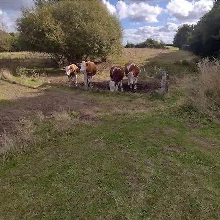 Seaside Serenity In Jaegerspris-by Traum *