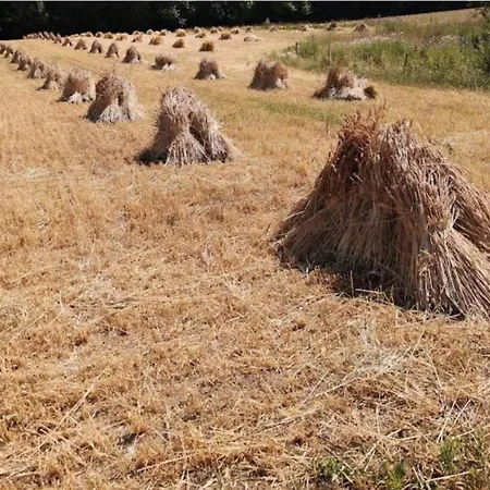 Дом отдыха Seaside Serenity In Jaegerspris-by Traum